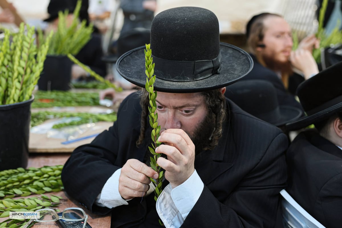 כל צבעי הקשת וחיבוב המצוות • ירושלים כפי שלא ראיתם מעולם