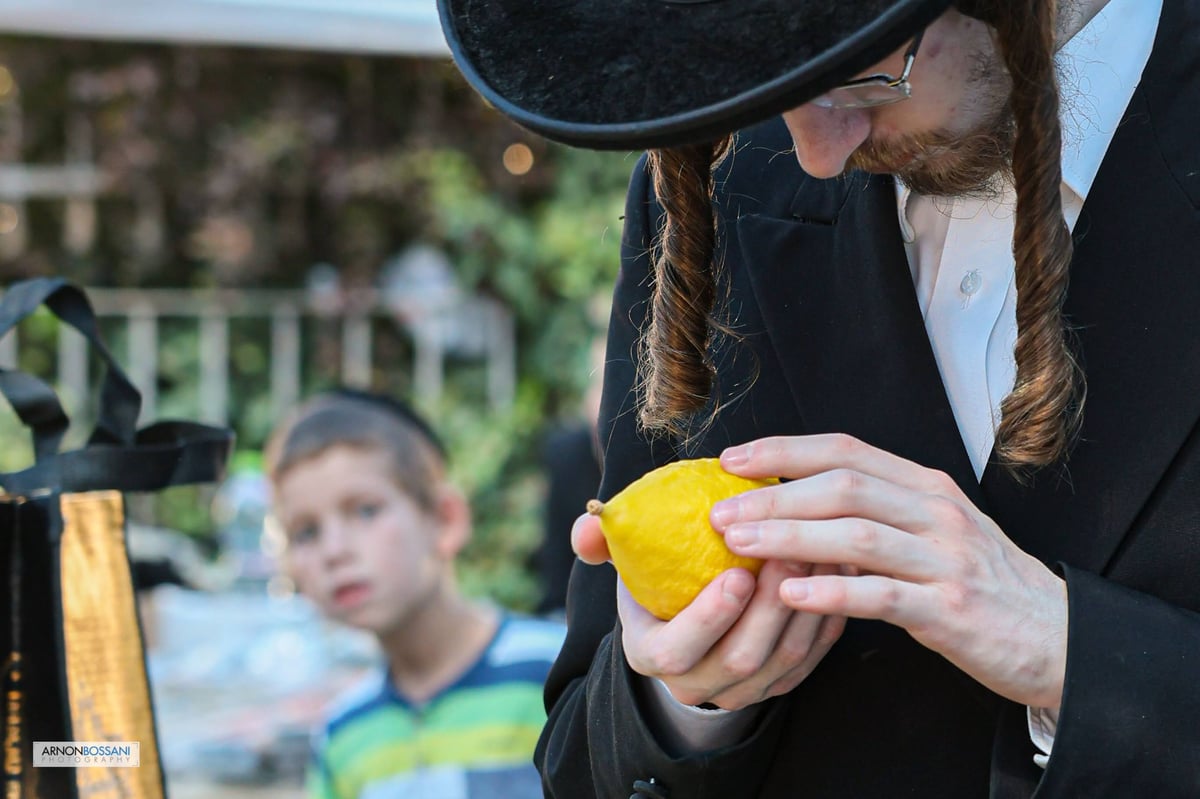 כל צבעי הקשת וחיבוב המצוות • ירושלים כפי שלא ראיתם מעולם