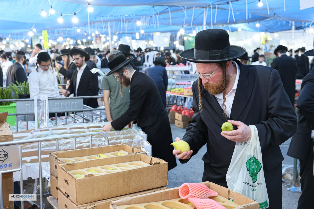 כל צבעי הקשת וחיבוב המצוות • ירושלים כפי שלא ראיתם מעולם