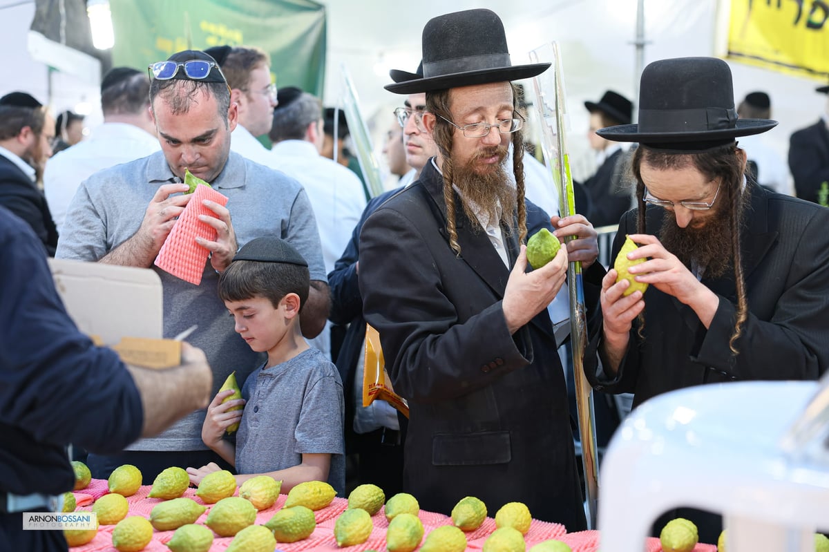 כל צבעי הקשת וחיבוב המצוות • ירושלים כפי שלא ראיתם מעולם