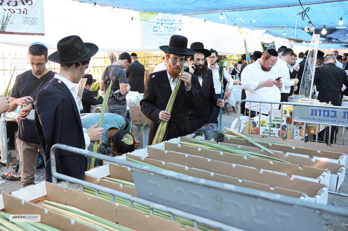 כל צבעי הקשת וחיבוב המצוות • ירושלים כפי שלא ראיתם מעולם