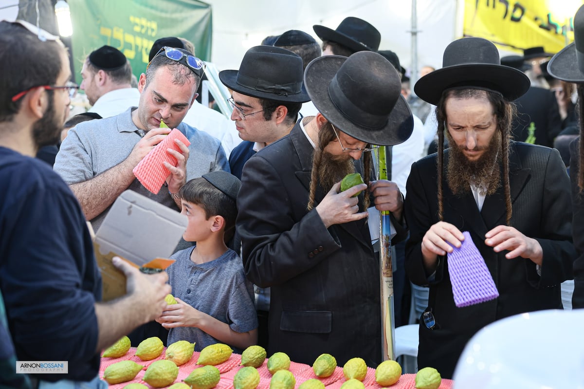 כל צבעי הקשת וחיבוב המצוות • ירושלים כפי שלא ראיתם מעולם