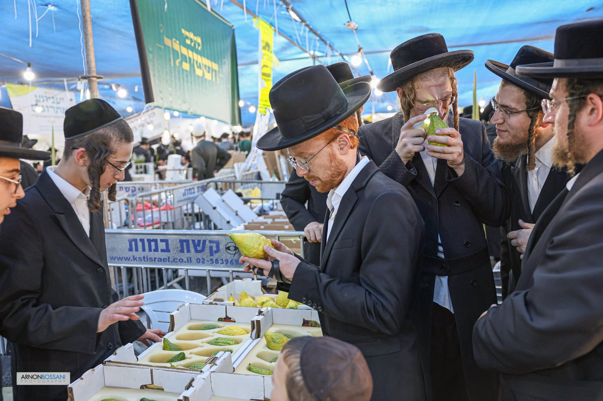 כל צבעי הקשת וחיבוב המצוות • ירושלים כפי שלא ראיתם מעולם