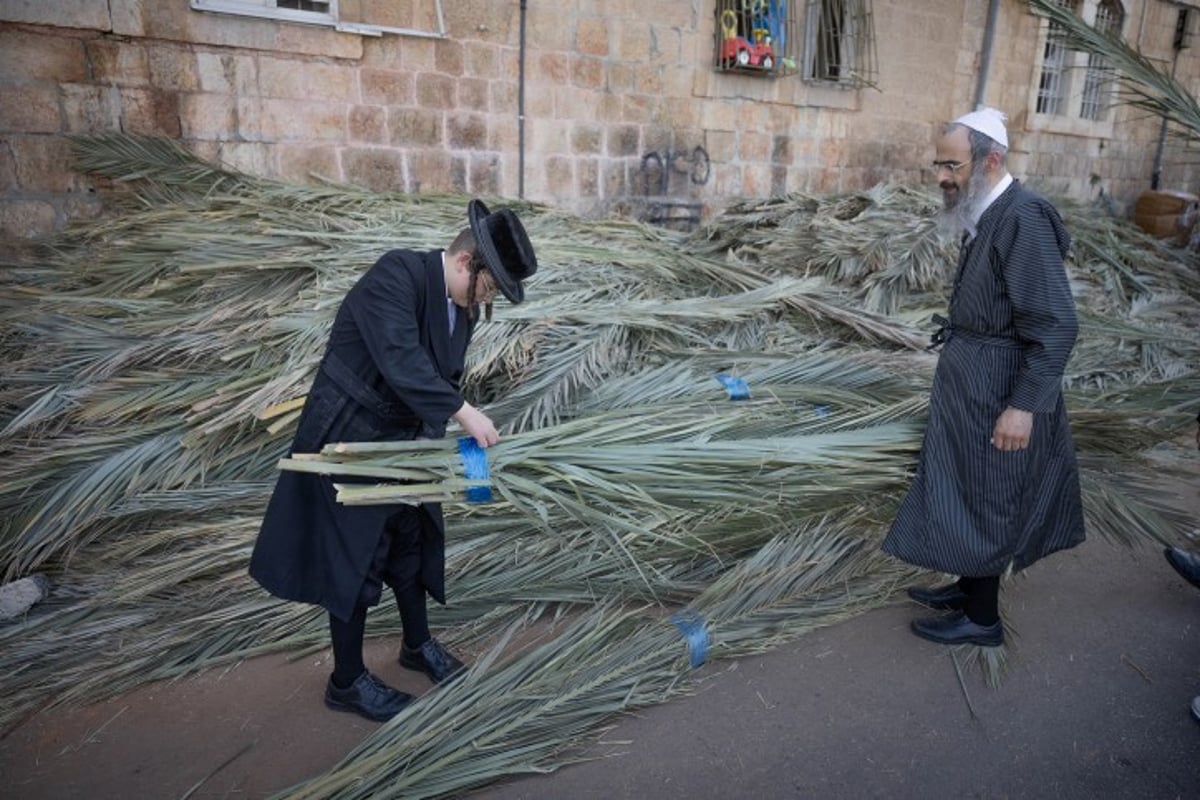 אווירת חג בירושלים: סוחבים את הסכך ברחובות בערב סוכות