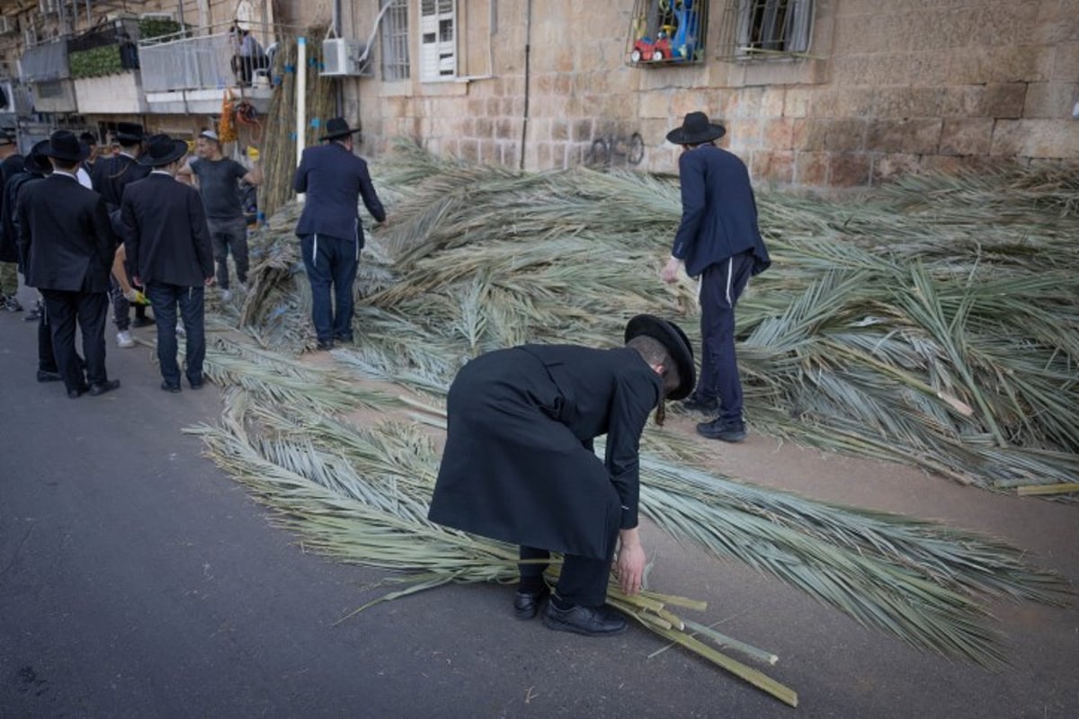 אווירת חג בירושלים: סוחבים את הסכך ברחובות בערב סוכות