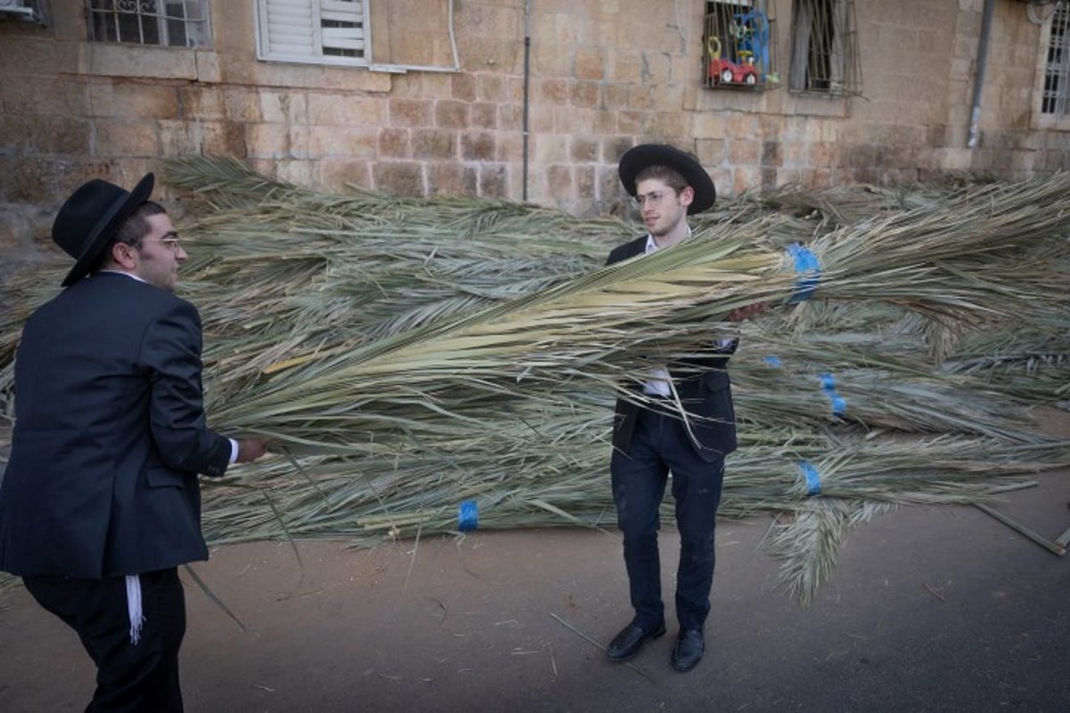 אווירת חג בירושלים: סוחבים את הסכך ברחובות בערב סוכות