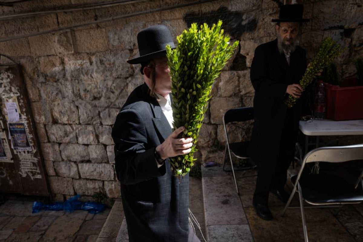 אווירת חג בירושלים: סוחבים את הסכך ברחובות בערב סוכות