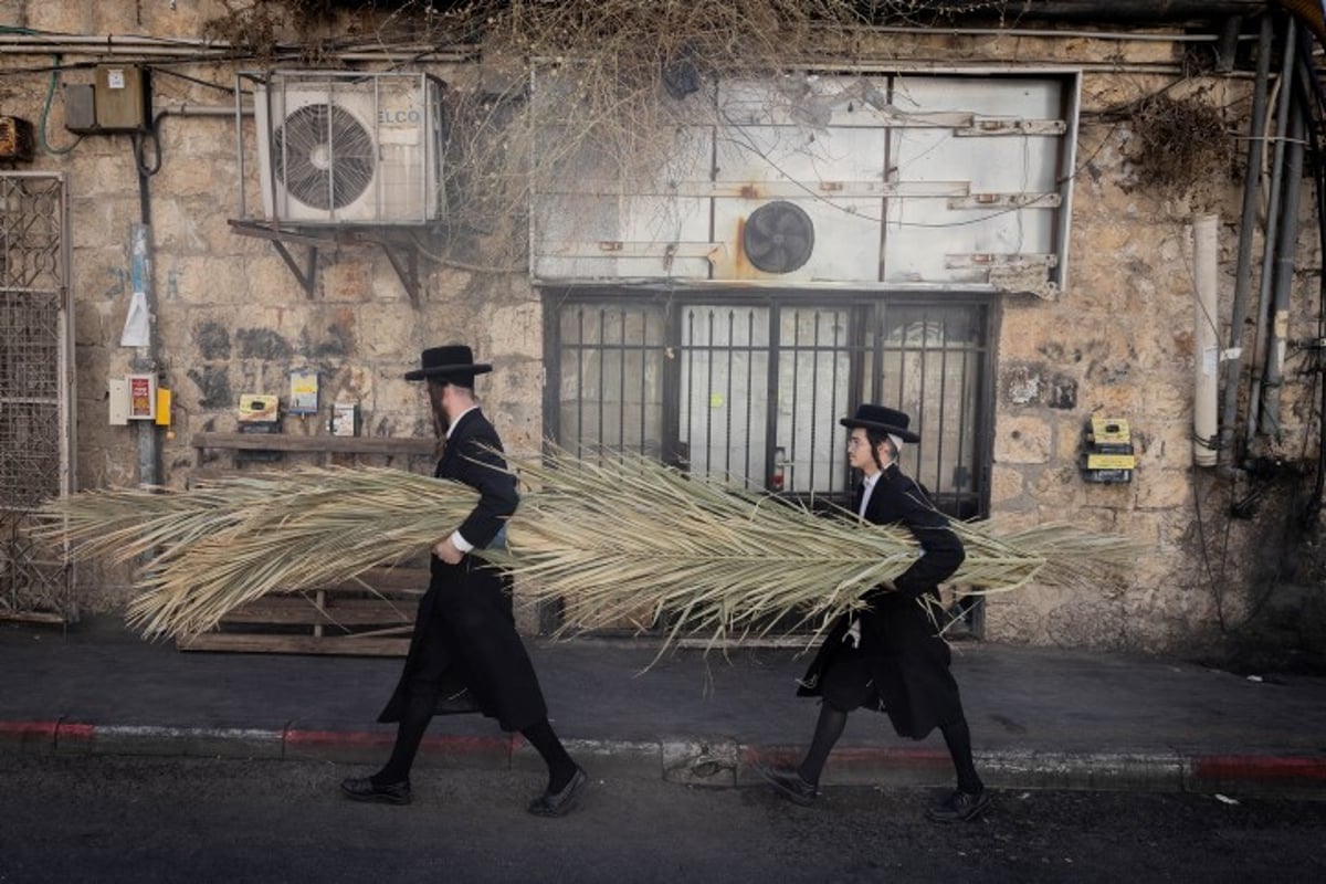 אווירת חג בירושלים: סוחבים את הסכך ברחובות בערב סוכות