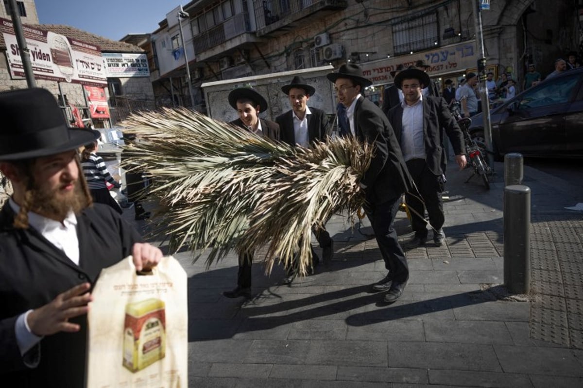 אווירת חג בירושלים: סוחבים את הסכך ברחובות בערב סוכות