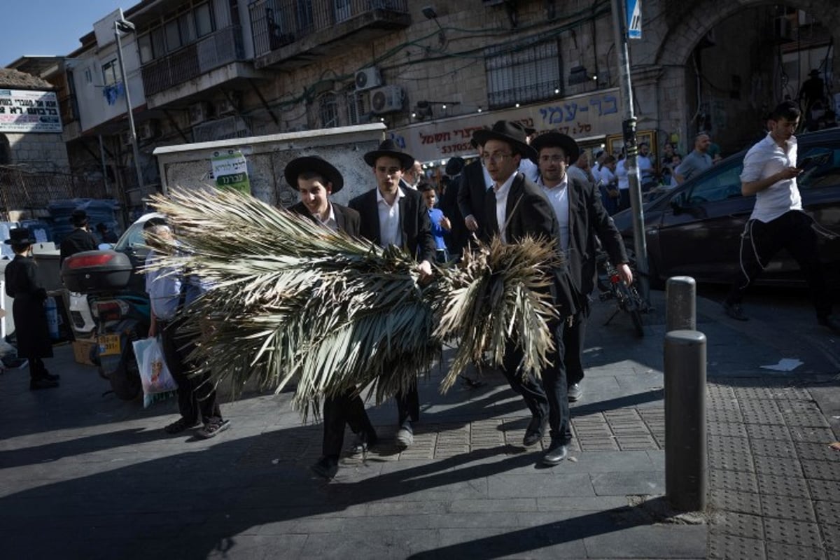 אווירת חג בירושלים: סוחבים את הסכך ברחובות בערב סוכות