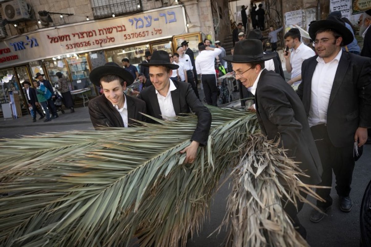 אווירת חג בירושלים: סוחבים את הסכך ברחובות בערב סוכות