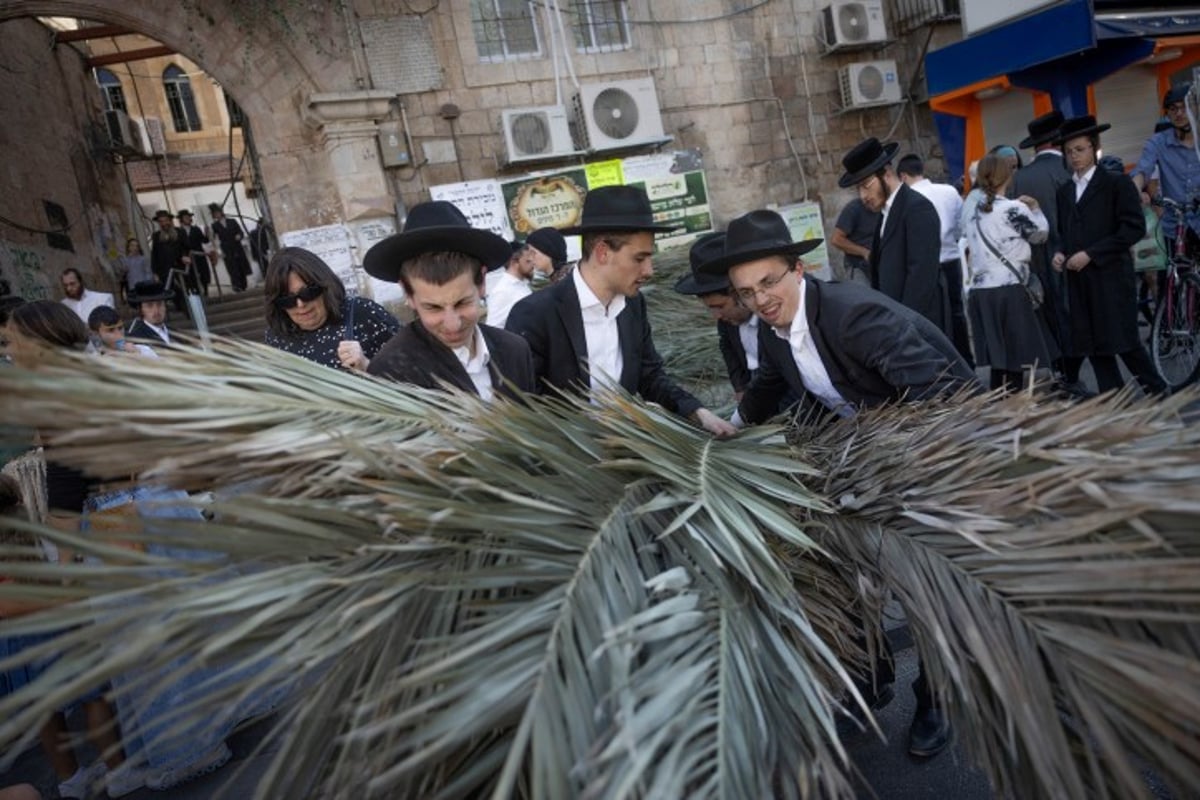 אווירת חג בירושלים: סוחבים את הסכך ברחובות בערב סוכות