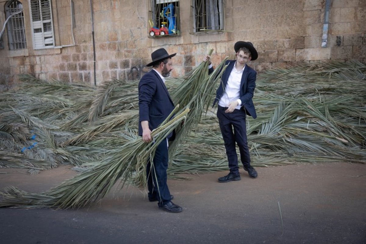 אווירת חג בירושלים: סוחבים את הסכך ברחובות בערב סוכות