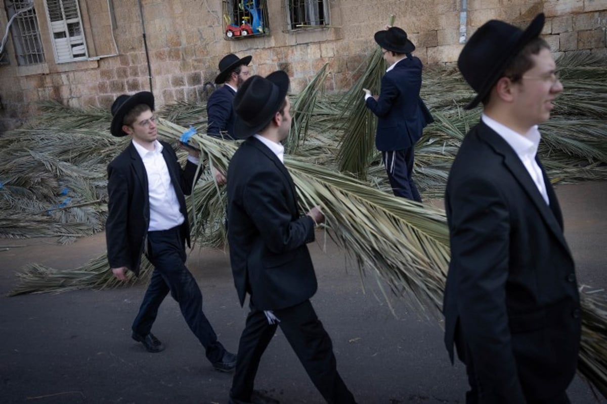 אווירת חג בירושלים: סוחבים את הסכך ברחובות בערב סוכות