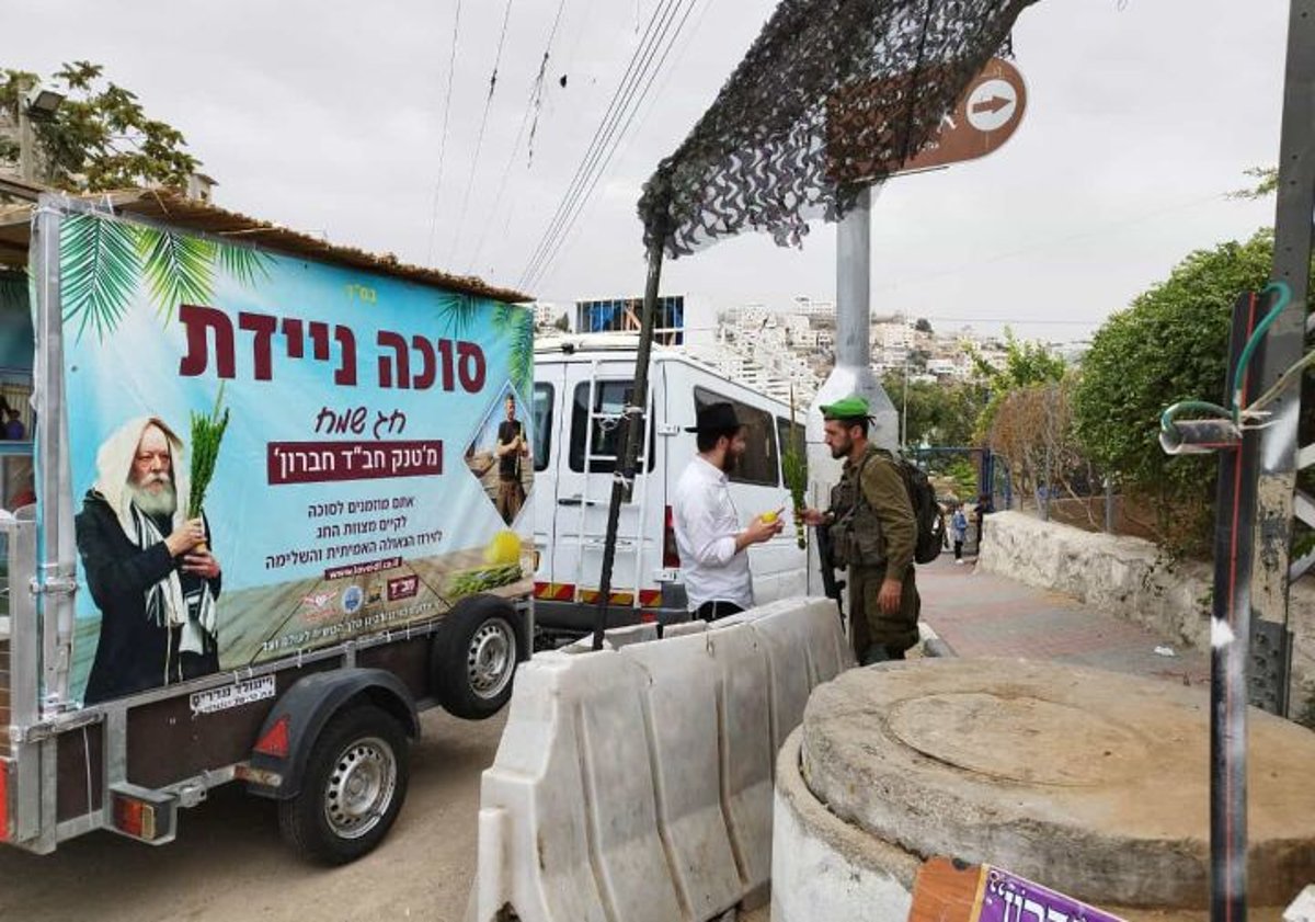 תיעוד חג מרהיב: עמך בית ישראל נוטלים ארבעת המינים