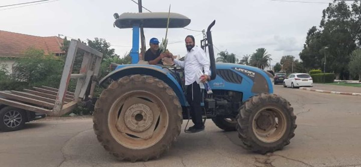 תיעוד חג מרהיב: עמך בית ישראל נוטלים ארבעת המינים