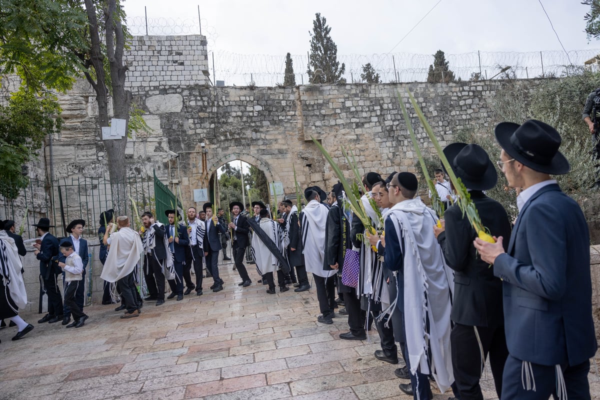 התפללו בכניסה להר הבית, נישקו את הרצפה ופצחו בריקוד | צפו