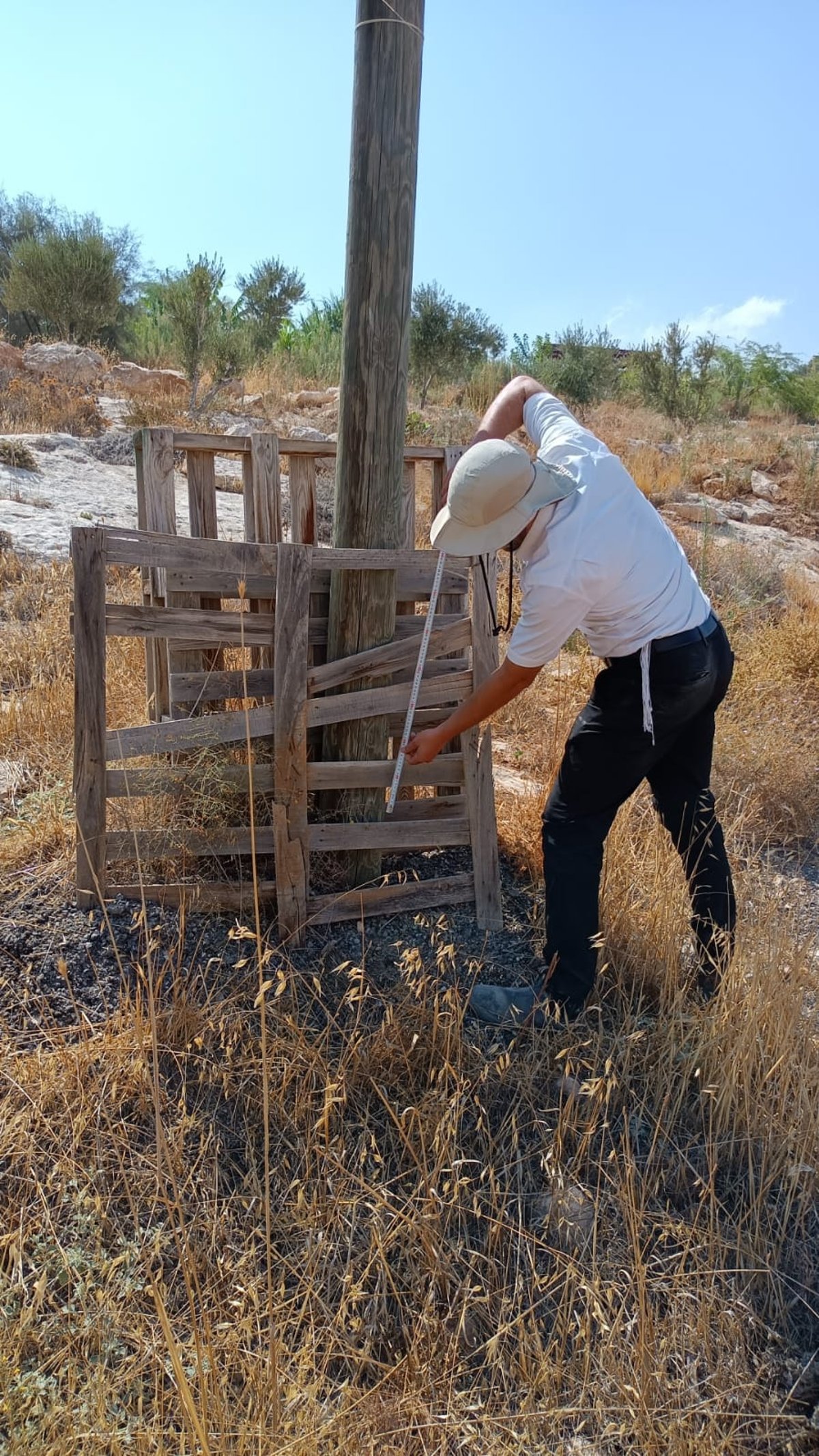 בהקמת עירוב