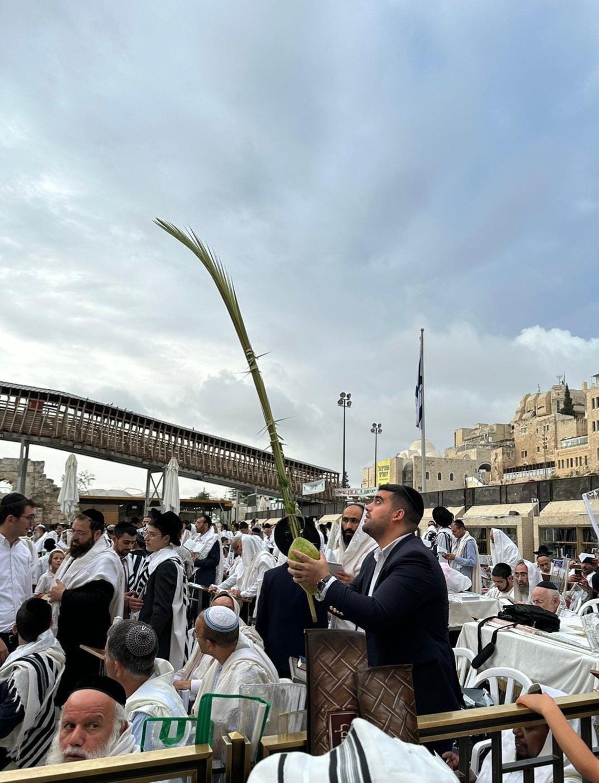 זופניק בכיכר • כל התמונות, הנייעס והחשיפות של סוכות