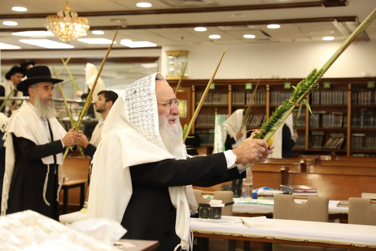 תיעוד מיוחד: הגאון רבי ראובן אלבז בנטילת ד' המינים