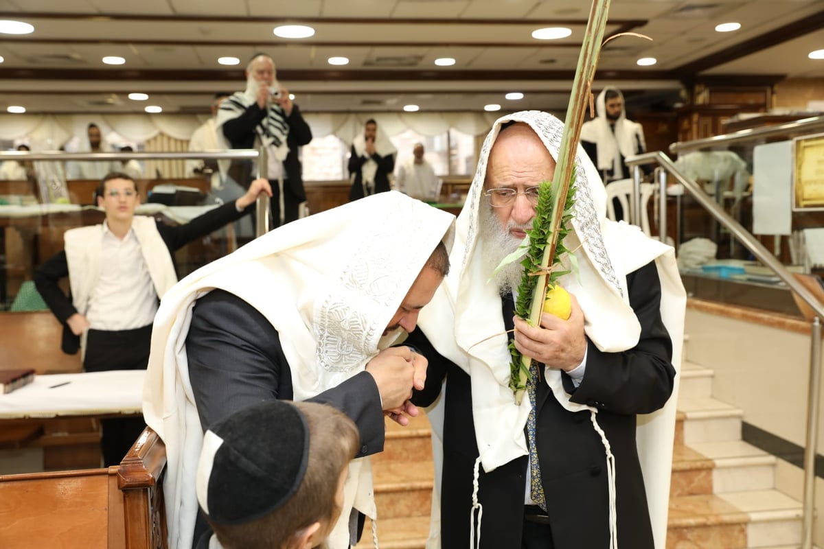 תיעוד מיוחד: הגאון רבי ראובן אלבז בנטילת ד' המינים