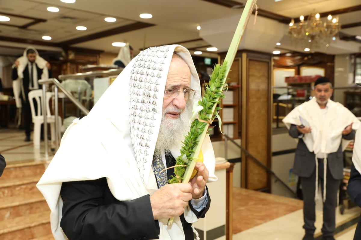 תיעוד מיוחד: הגאון רבי ראובן אלבז בנטילת ד' המינים