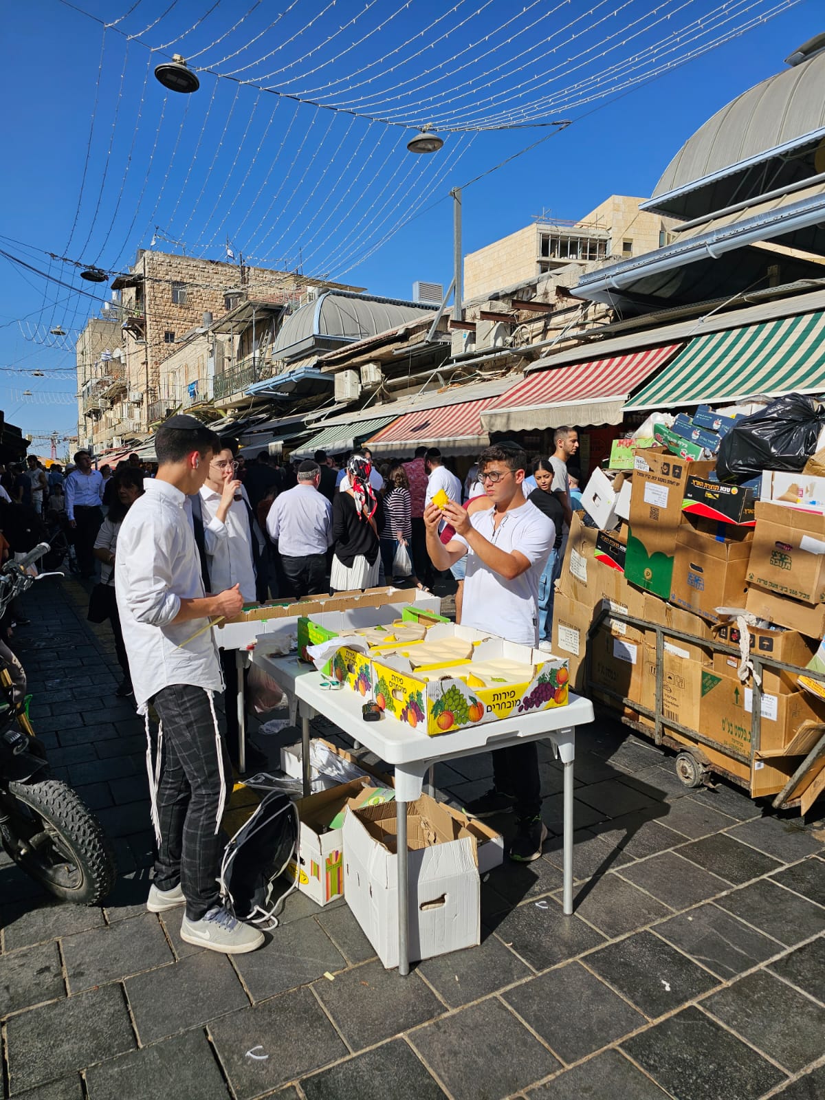 זופניק בכיכר • כל התמונות, הנייעס והחשיפות של סוכות