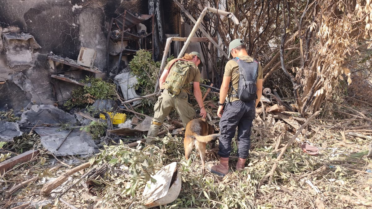 תיעוד מהחיפושים בקיבוצים, היום