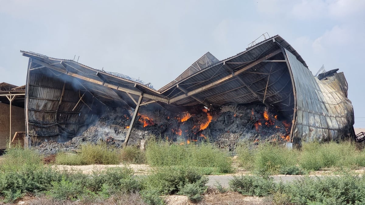 תנובה מקימה קרן של כ-15 מיליון שקל   לתמיכה ברפתות בעוטף