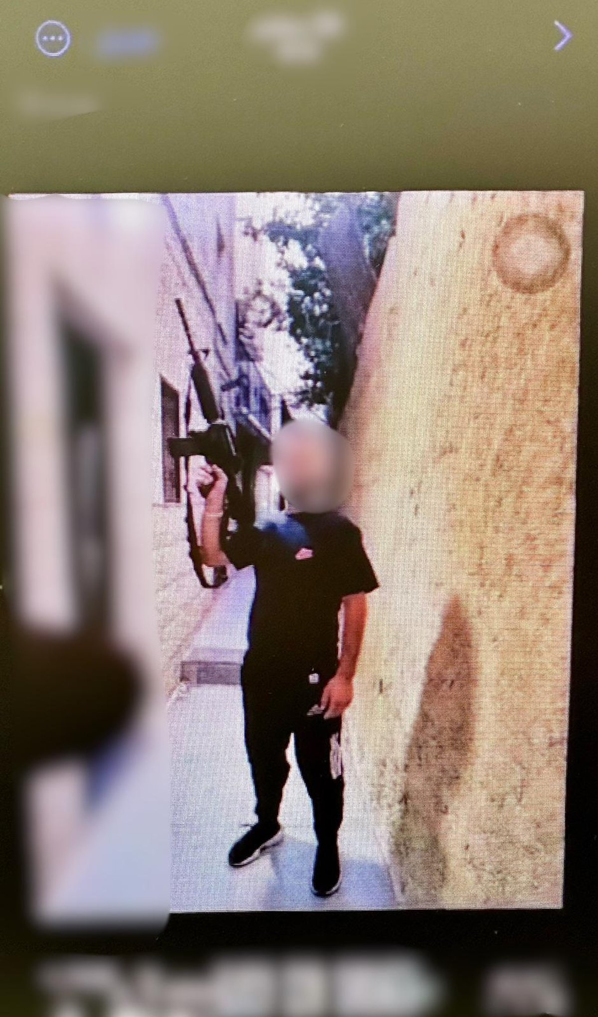 התמונה שנמצאה