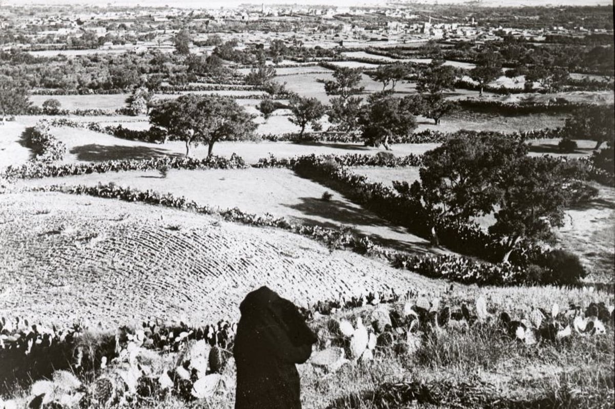 מראה העיר עזה מגבעת עלי מונטר בשנת 1910