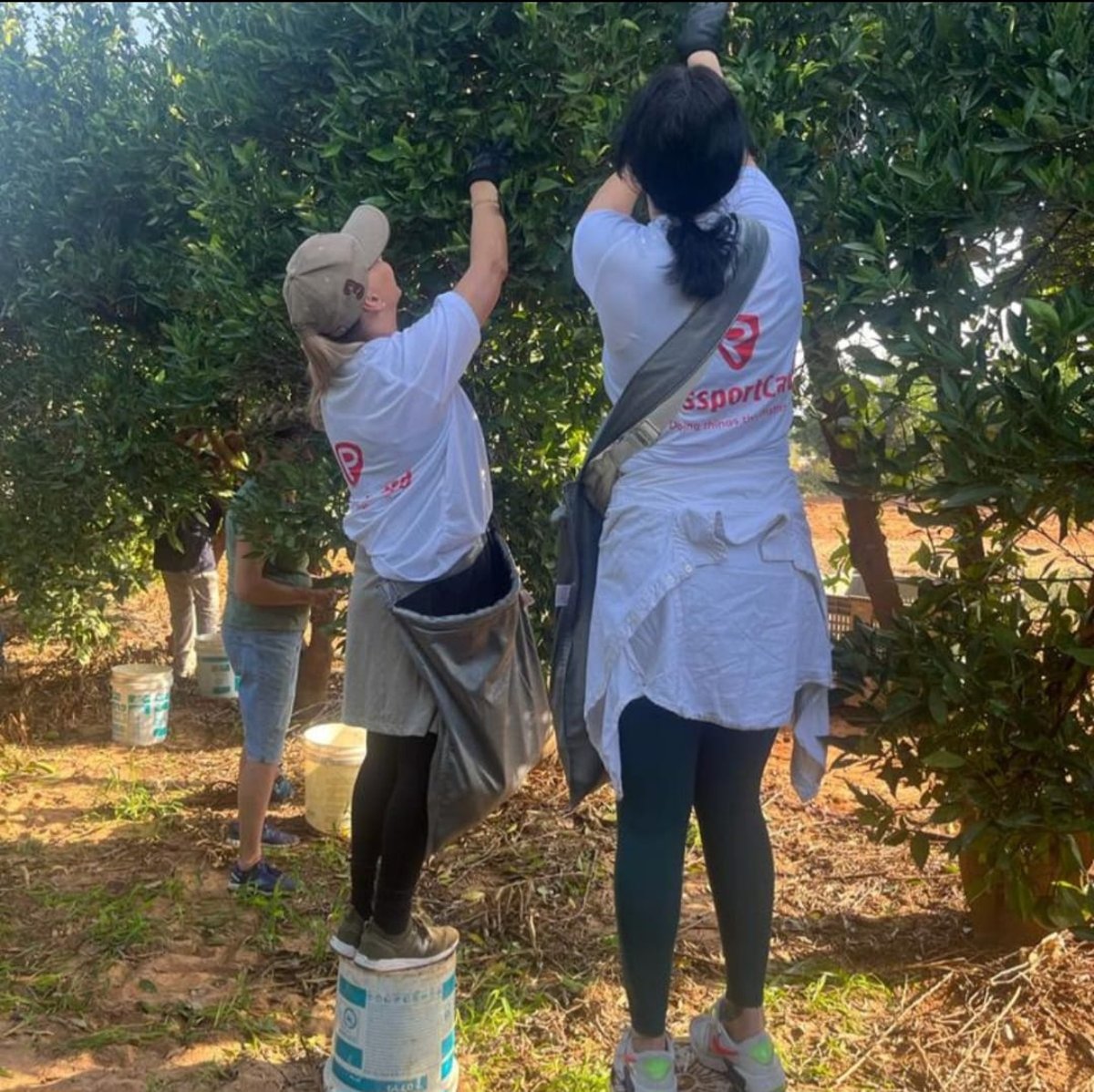 עובדי ועובדות פספורטכארד מתנדבים