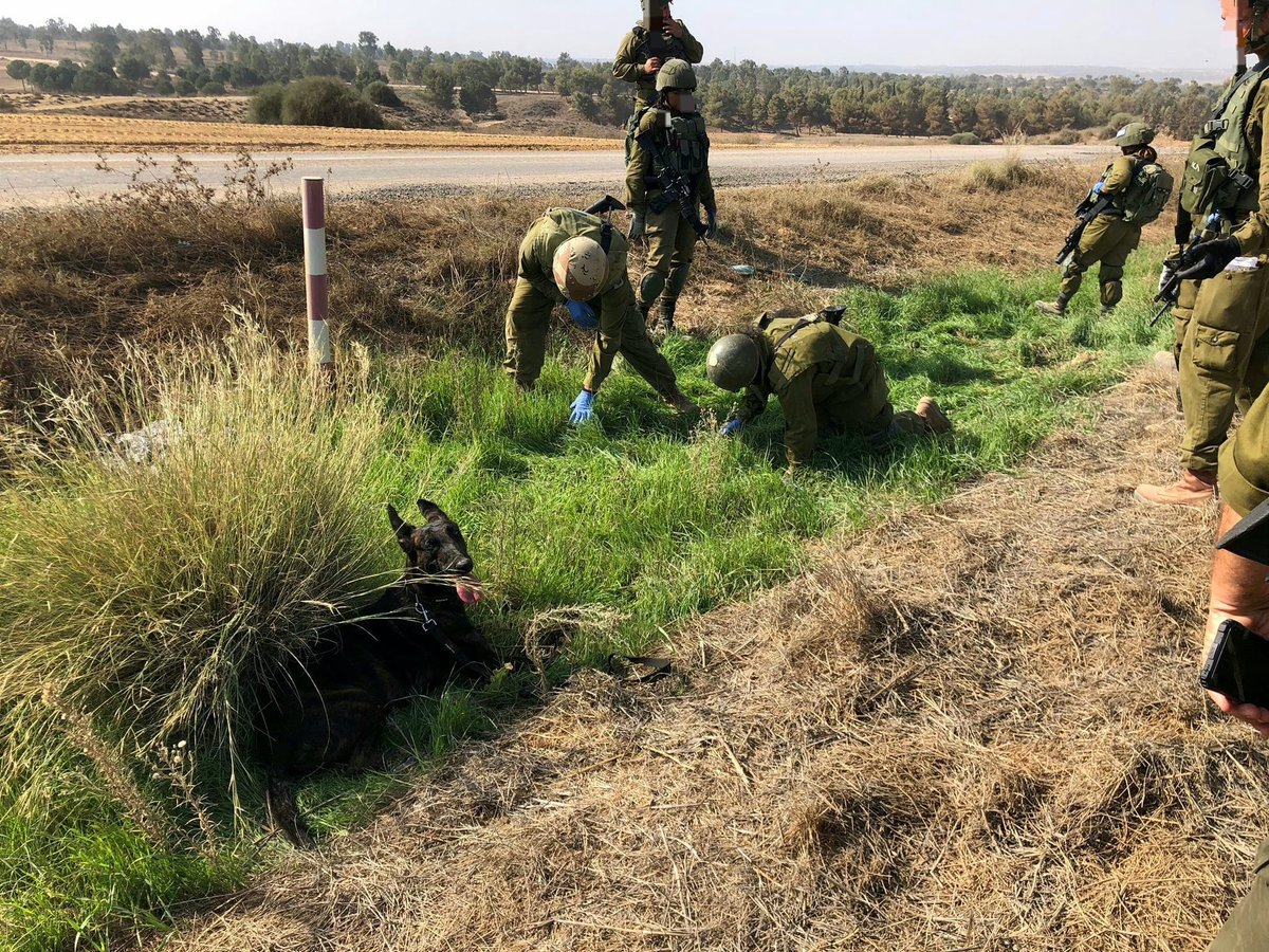 הלוחמים ויחידת הכלבנים בחיפושים אחרי ההרוגים