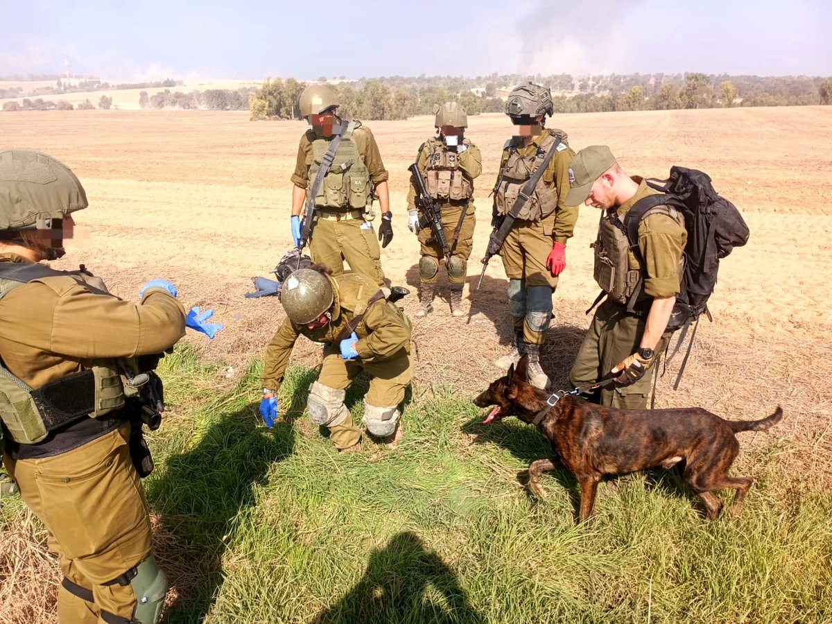 החיפושים אחרי ההרוגים הקדושים בשטח הלחימה 