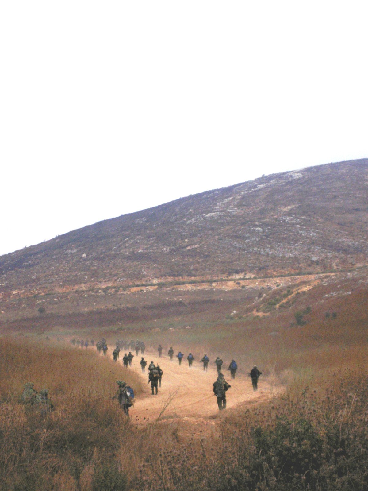 כניסת כוחות חטיבה 226 ללבנון במלחמת לבנון השניה