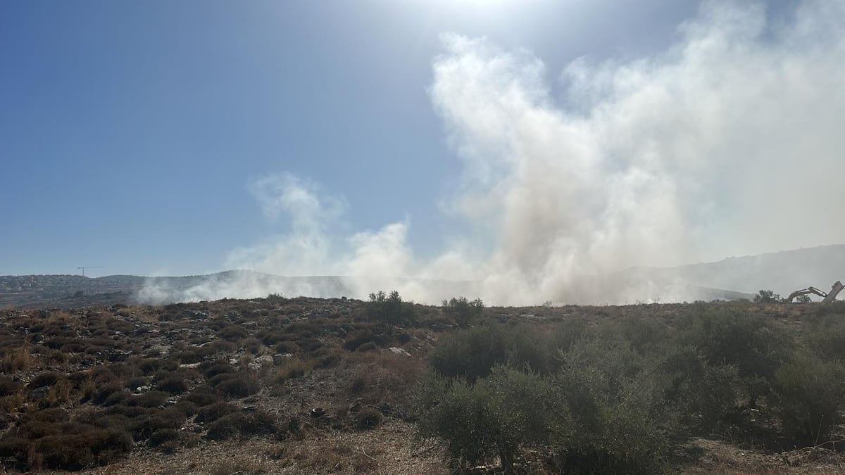 השריפה ברנתיס הבוקר