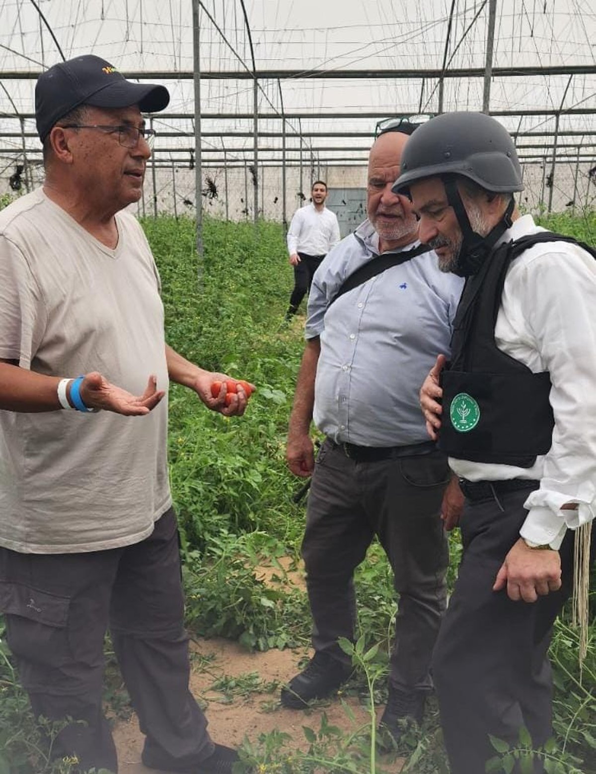 זופניק בכיכר • כל התמונות, הנייעס והחשיפות של המלחמה