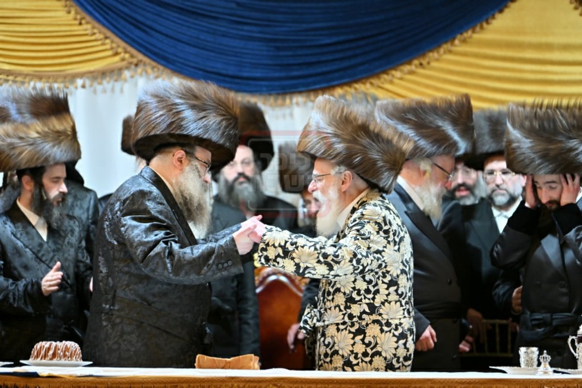 שמחת בית ויז'ניץ - וויען - זלאטשוב | צפו בגלריה