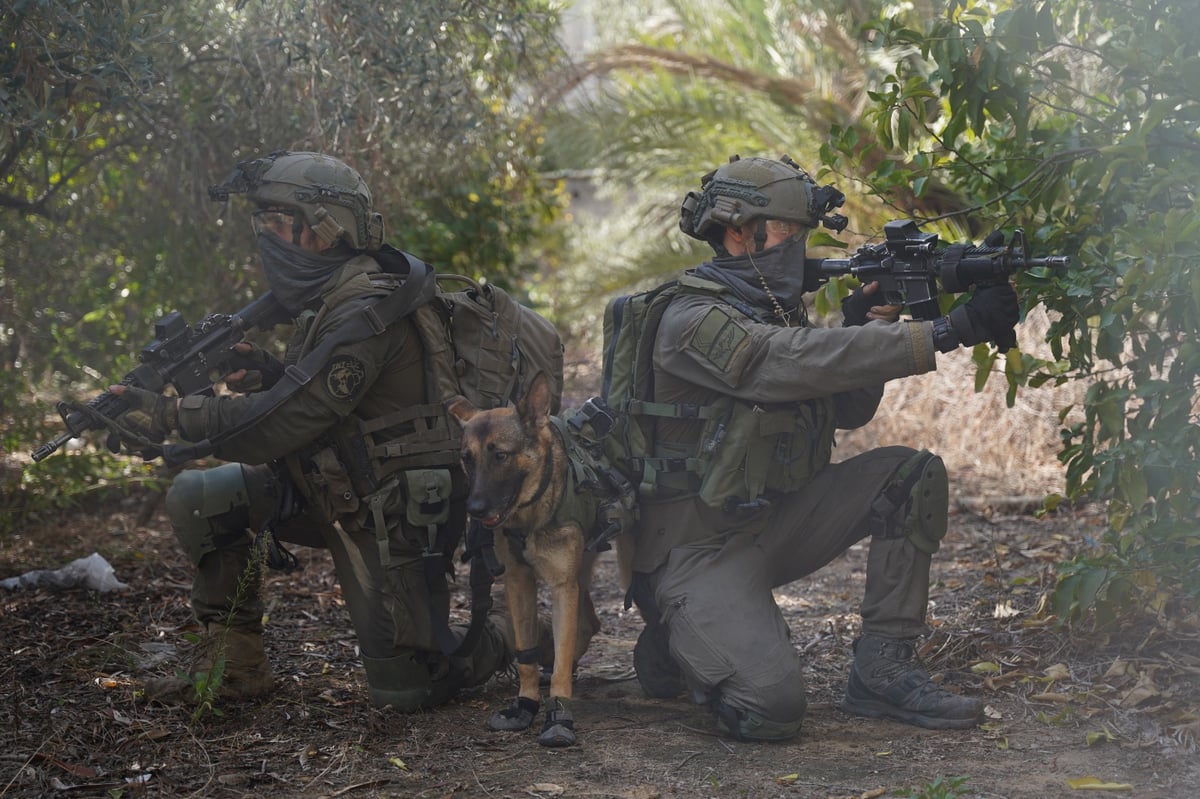 רגע לפני הפסקת האש: כך נראת פעילות צה"ל ברצועת עזה