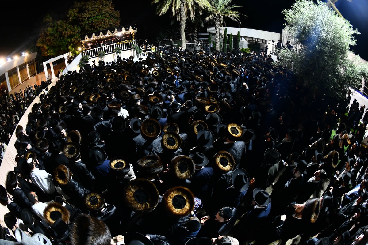 חתונת בן הגרי"מ מורגנשטרן ב'אווניו'