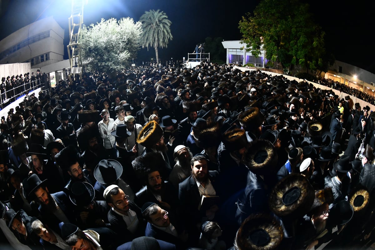 חתונת בן הגרי"מ מורגנשטרן ב'אווניו'