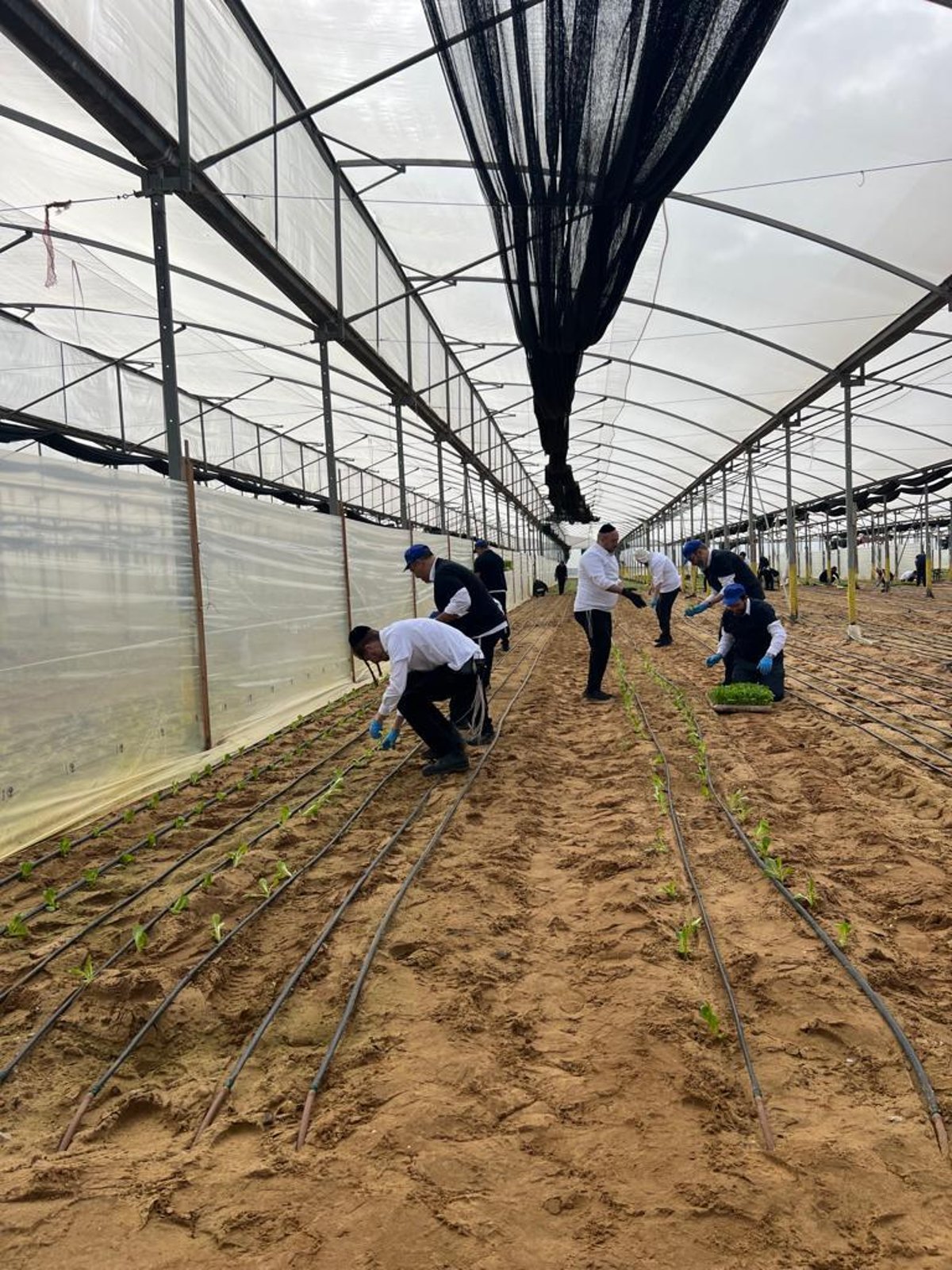 עובדי עיריית בני ברק סייעו בחממות ודמעו בקיבוץ בארי; צפו