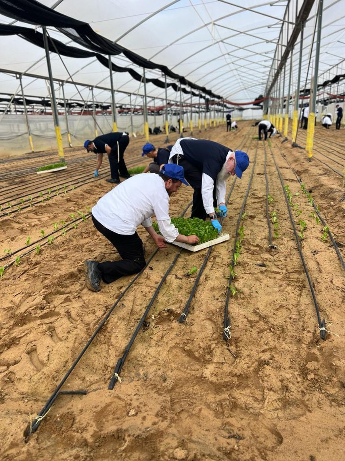 עובדי עיריית בני ברק סייעו בחממות ודמעו בקיבוץ בארי; צפו