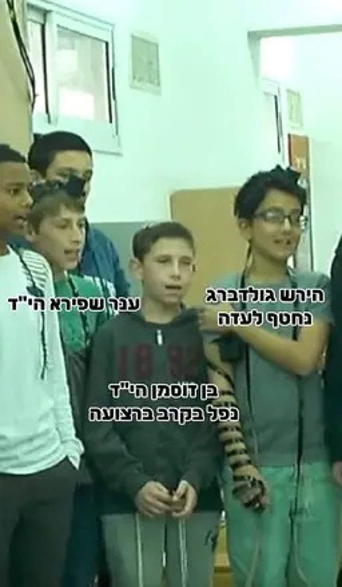 הירש, בן וענר - בכיתה ז'