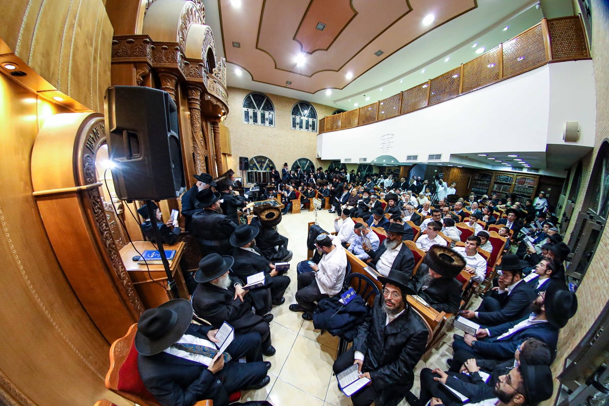 אלפים בהדלקת נרות חנוכה אצל האדמו"ר ממישקולץ • צפו