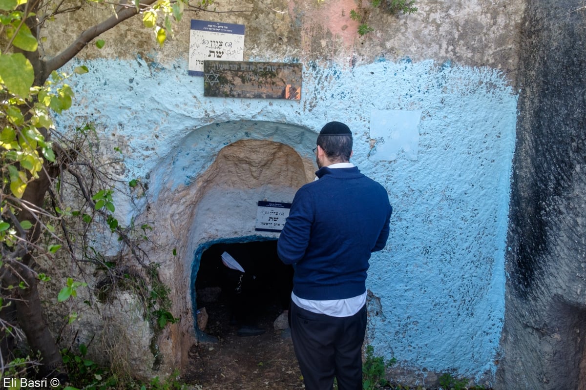 קבר שת בן אנוש בארבל