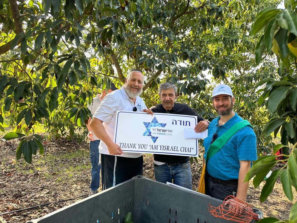 עכשיו אנחנו באמת במצוקה שלא הכרנו, ואנחנו זקוקים לסיוע רחב הרבה יותר כדי לשרוד