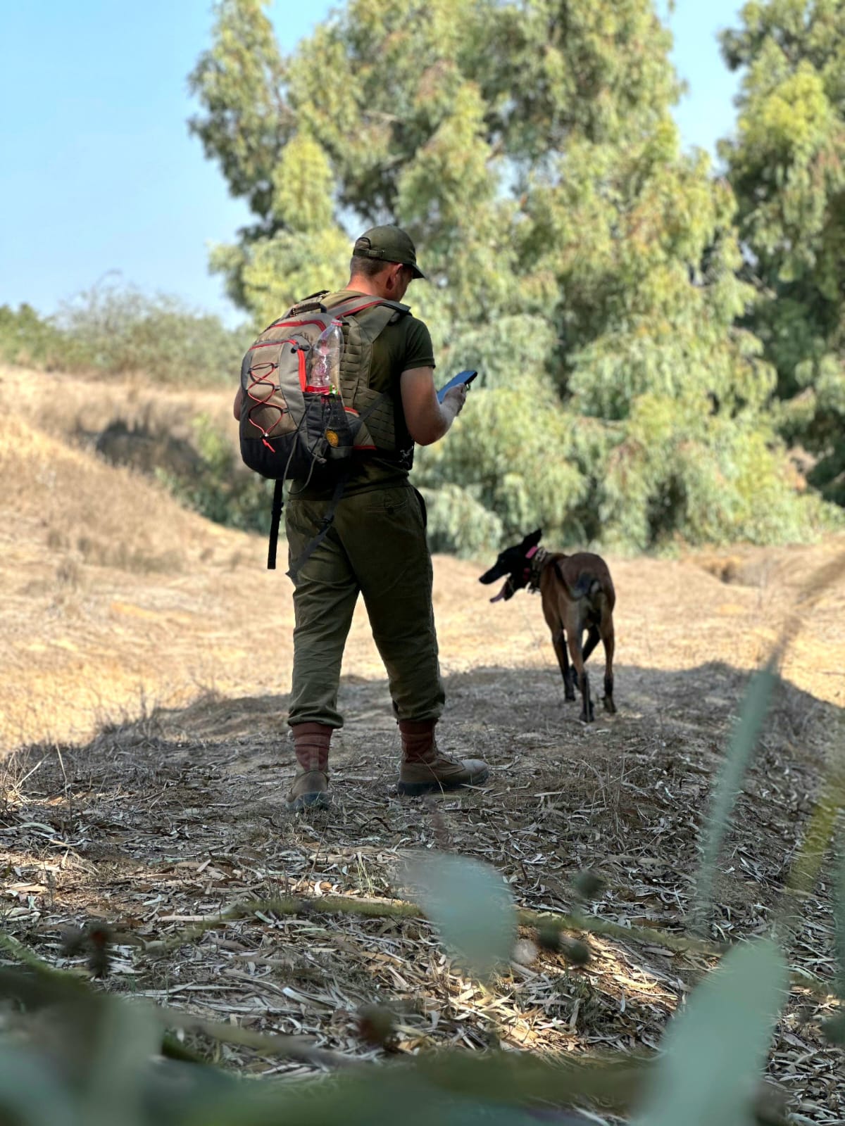 עדיין מחפשים שרידים ונעדרים מהטבח בעוטף עזה | צפו