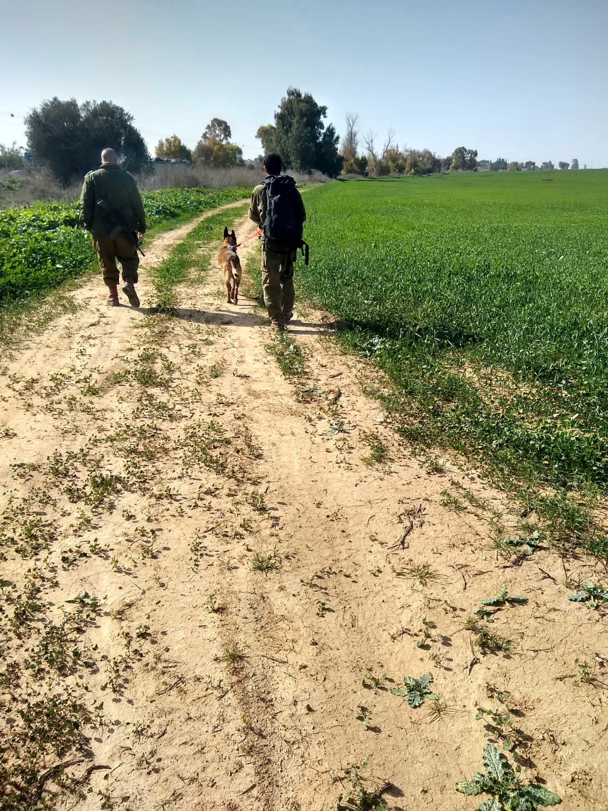 החיפושים בעוטף עזה