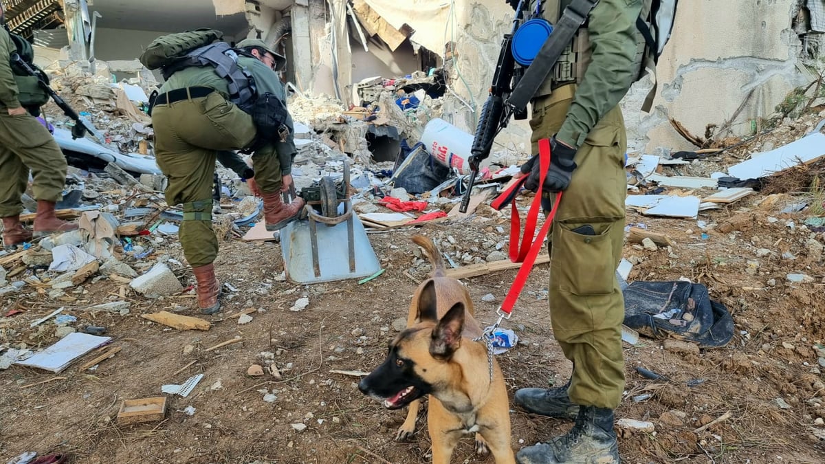 עדיין מחפשים שרידים ונעדרים מהטבח בעוטף עזה | צפו